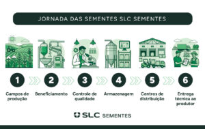 novos centros slc sementes