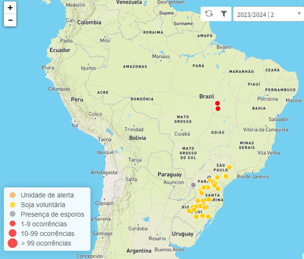 Consórcio antiferrugem