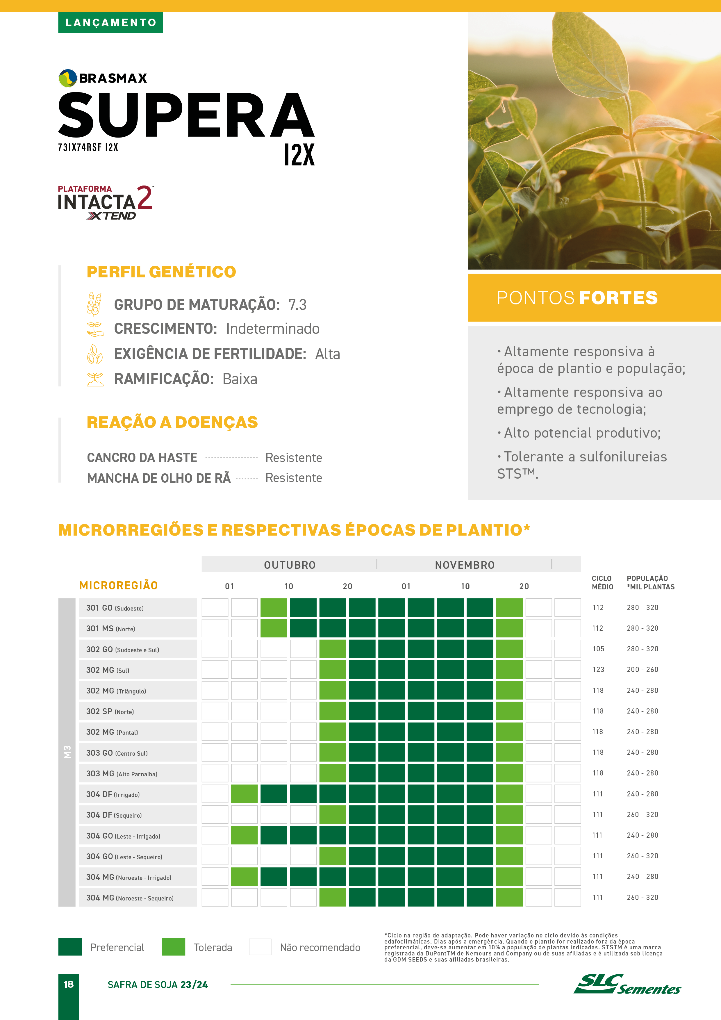 Lançamento para a safra 2021/2022, a Brasmax Nexus I2X é mais uma novidade  para os produtores do Sul. Com o potencial produtivo ideal para as  regiões, By Brasmax Genética